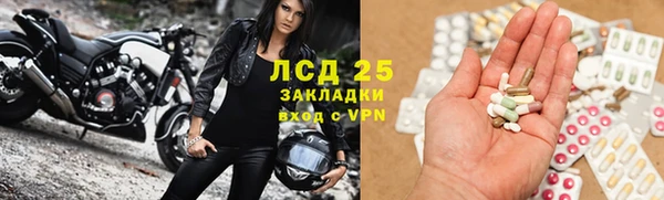 стаф Абинск