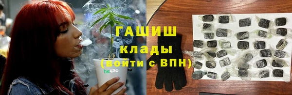 стаф Абинск