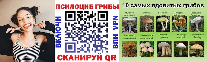 где купить наркоту  Туран  Псилоцибиновые грибы Psilocybe 